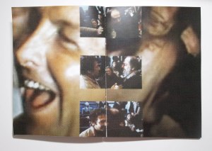 the image and its shadow copy 2