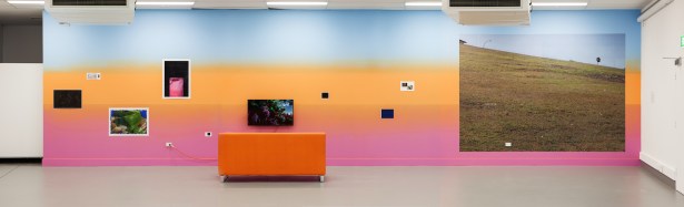 Graham Mathwin, A bit more love and affection please (merged panorama), photo by Thomas Rowe, image 2 of 5 copy