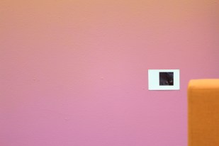 Graham Mathwin, A bit more love and affection please, photo by Graham Mathwin, image 5 of 5 copy